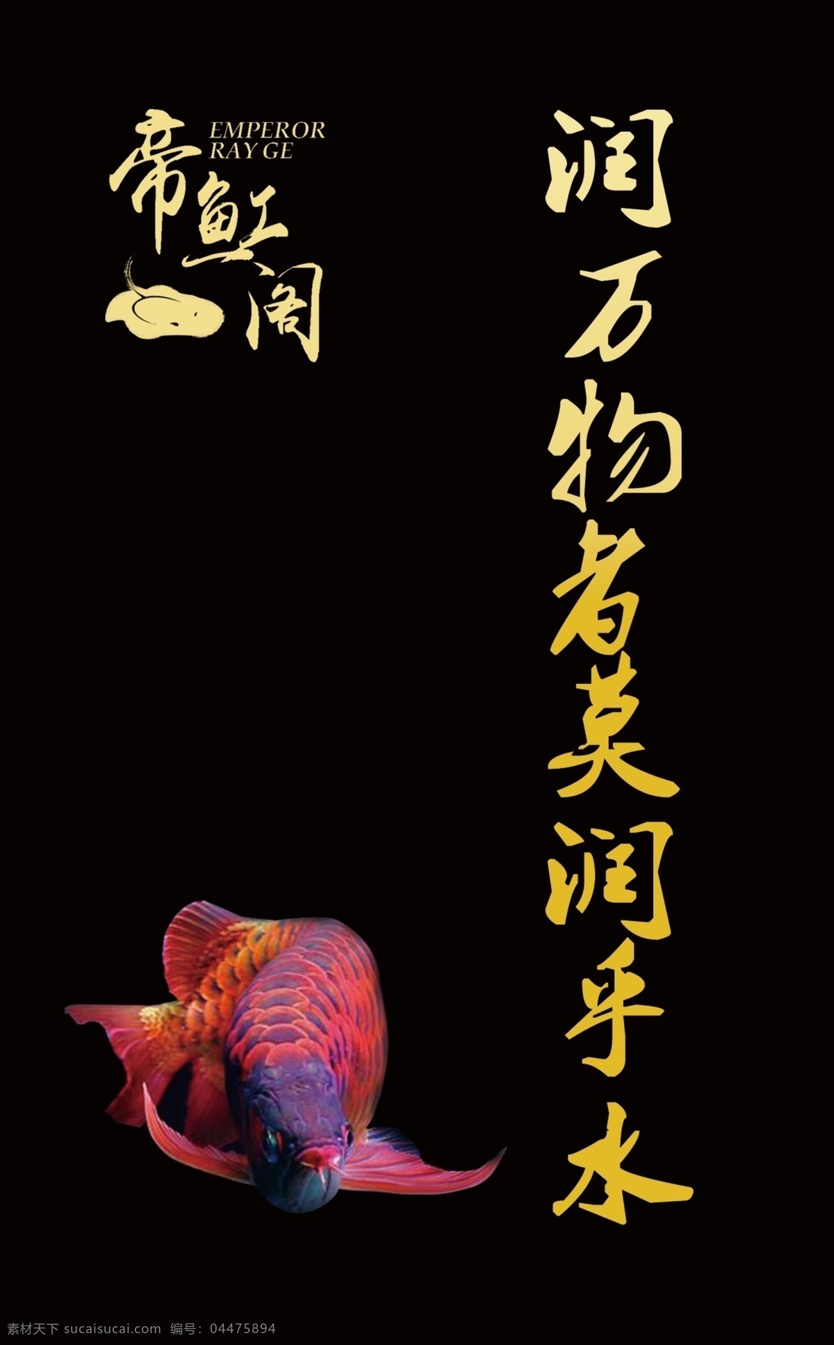养鱼展板 龙鱼 红龙 帝虹阁 魟鱼 黑背景 展板 展板模板