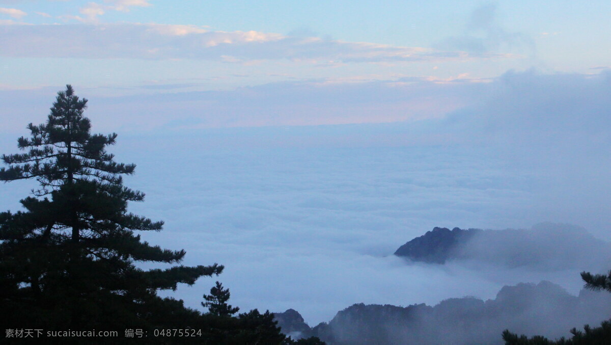 云海松涛 云海汹涌 大海 相映成辉 黄山日出 自然风景 自然景观