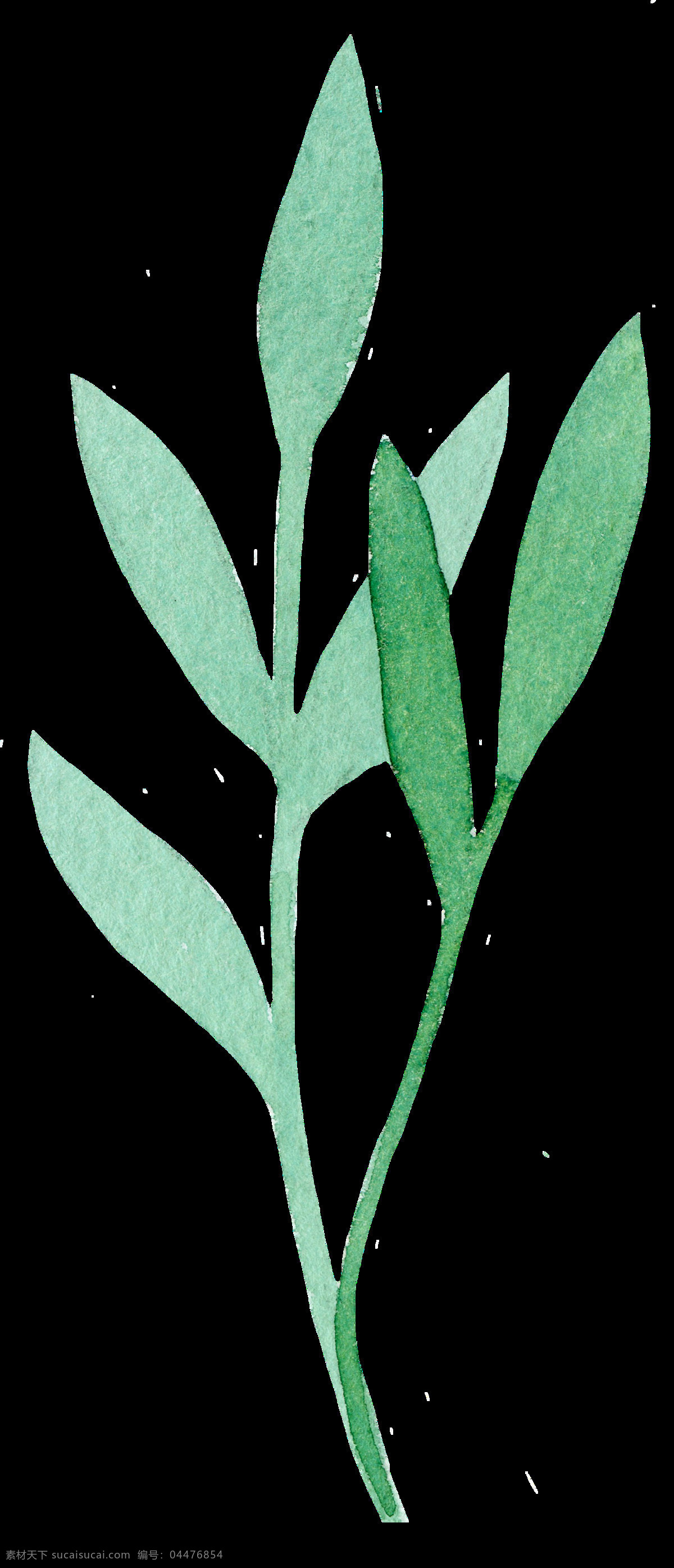 淡绿 树叶 卡通 透明 叶子 透明素材 免扣素材 装饰图案