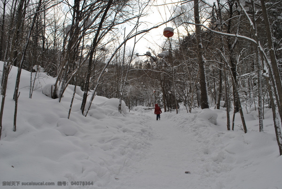 雪乡 雪乡风景 中国雪乡 雪乡风光 雪谷 大海林 牡丹江雪乡 东北雪乡 雾凇 旅游摄影 国内旅游