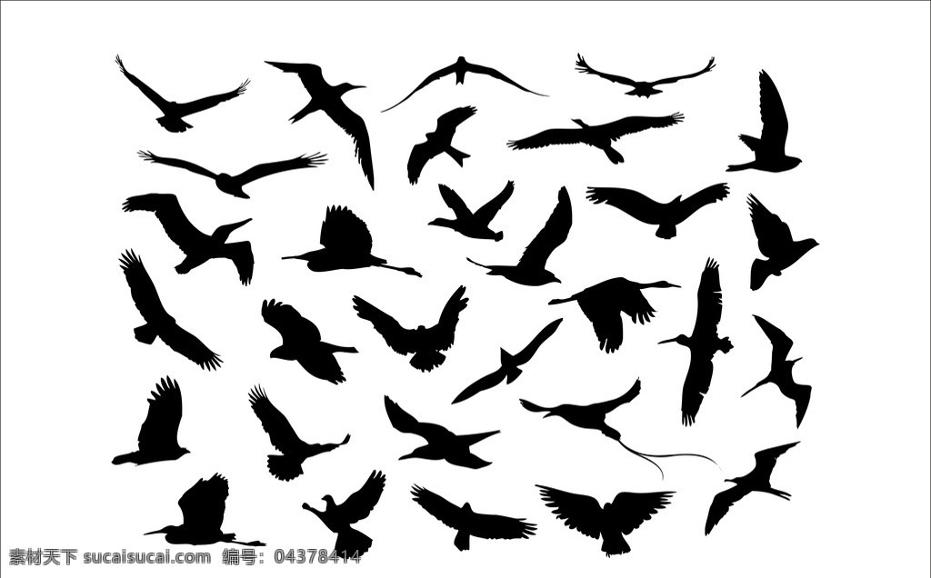 飞翔的鸟 飞翔 鸟 动物 矢量 黑白 生物世界 鸟类