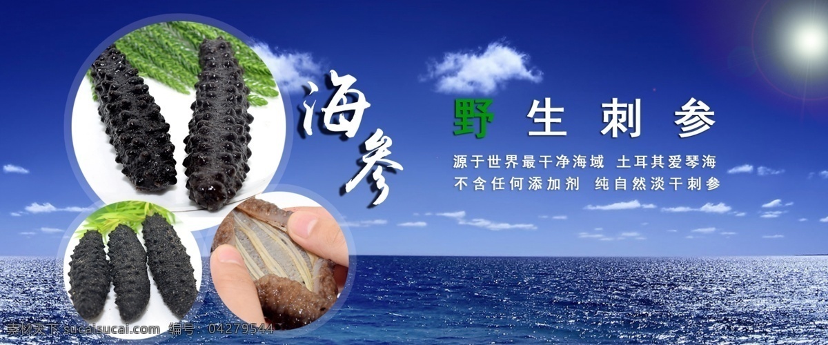 海参 淘宝 海参海报 淘宝海报设计 海报 蓝色