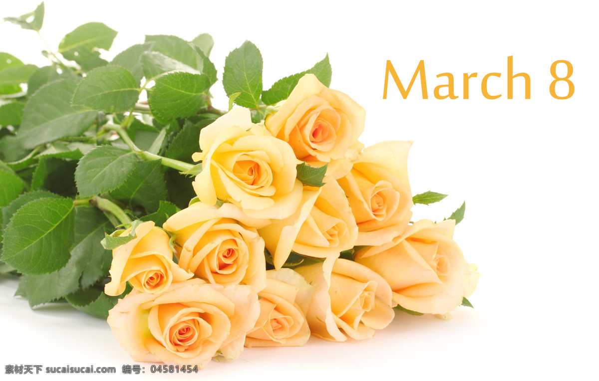 妇女节 黄色 玫瑰花 妇女节快乐 黄色花朵 节日鲜花 背景图片