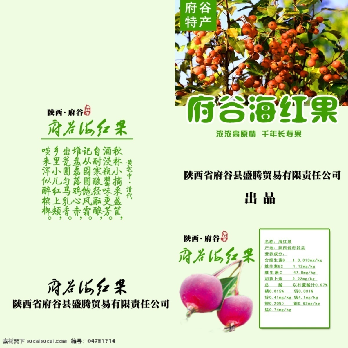 府谷县 海红果 宣传画册 折页 宣传单 画册 海红子 神话 海红果树 分层