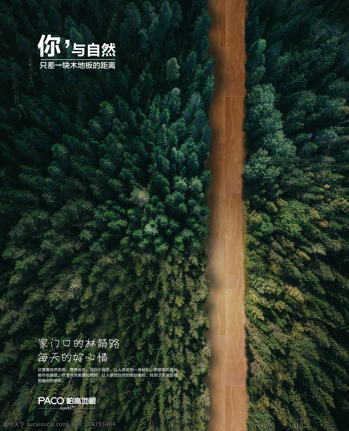 bg 地板 创意 海报 自然 森林 地板创意海报