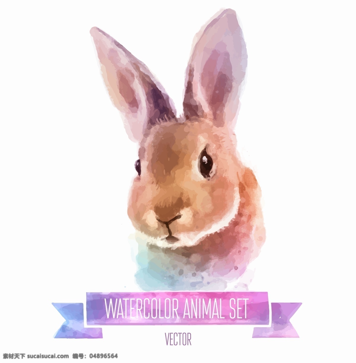 水彩 绘 可爱 兔子 插画 动物 卡通 手绘 水彩绘