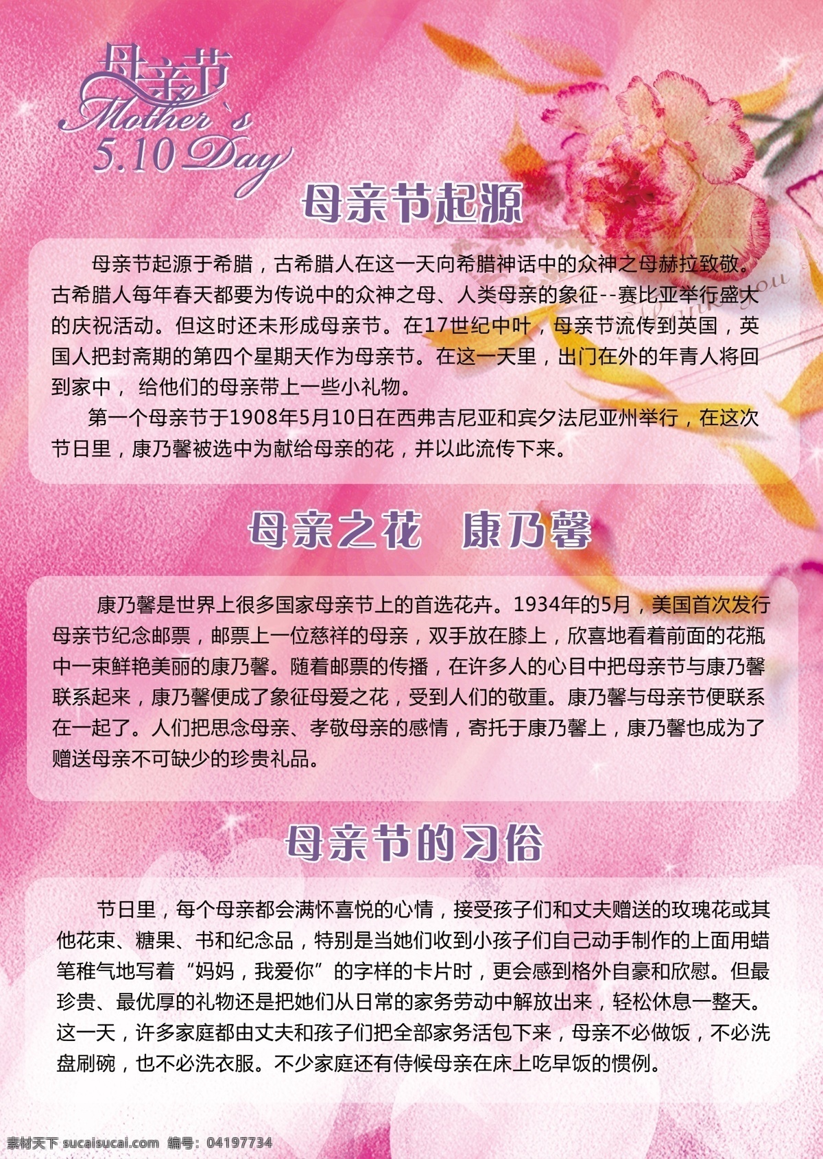 母亲节 母亲节起源 康乃馨 紫色