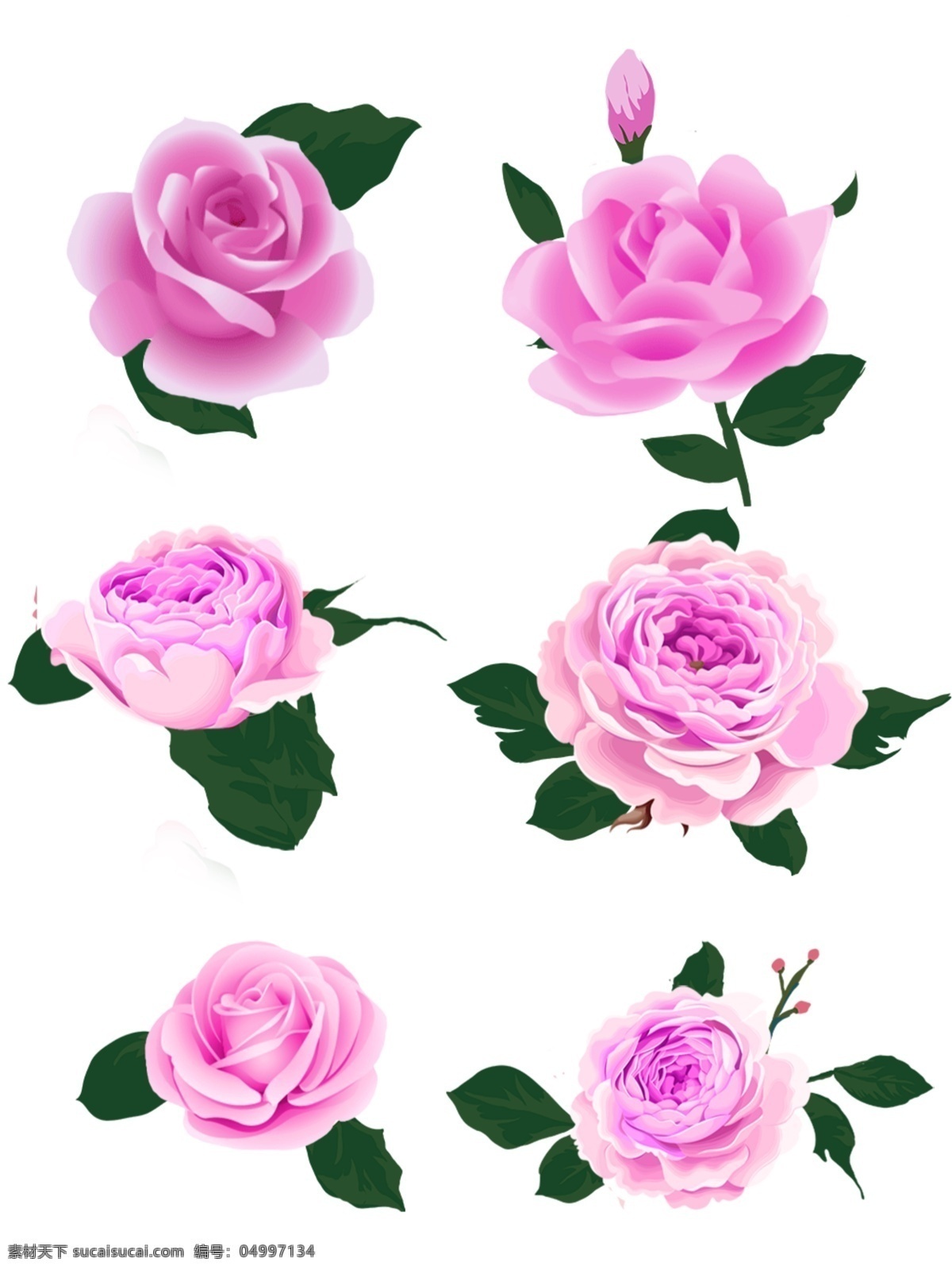 花朵 鲜花 花 粉色花 花朵特写 插花 花球 花束 母亲节花朵 美丽 鲜艳 植物 红色 粉色康乃馨 红色康乃馨 花草集 生物世界 自然植物