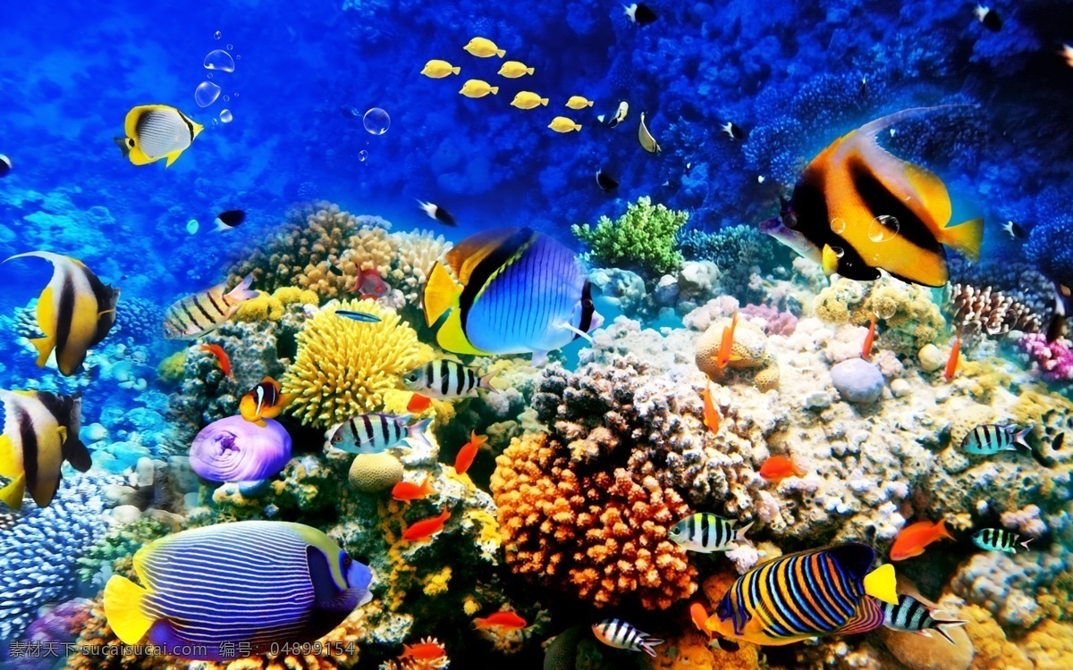 3d 海底 世界 热带 鱼群 浴室 地板 3d地板 浴室地板 海底世界 热带鱼 3d地板喷绘 分层 背景素材
