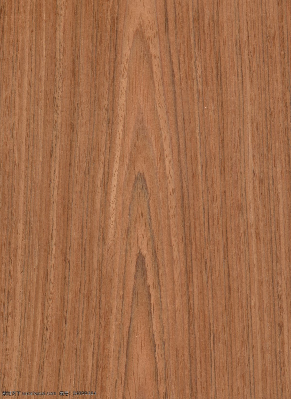 e.v. 泰 柚 12c 设计素材 贴图素材 建筑装饰 棕色