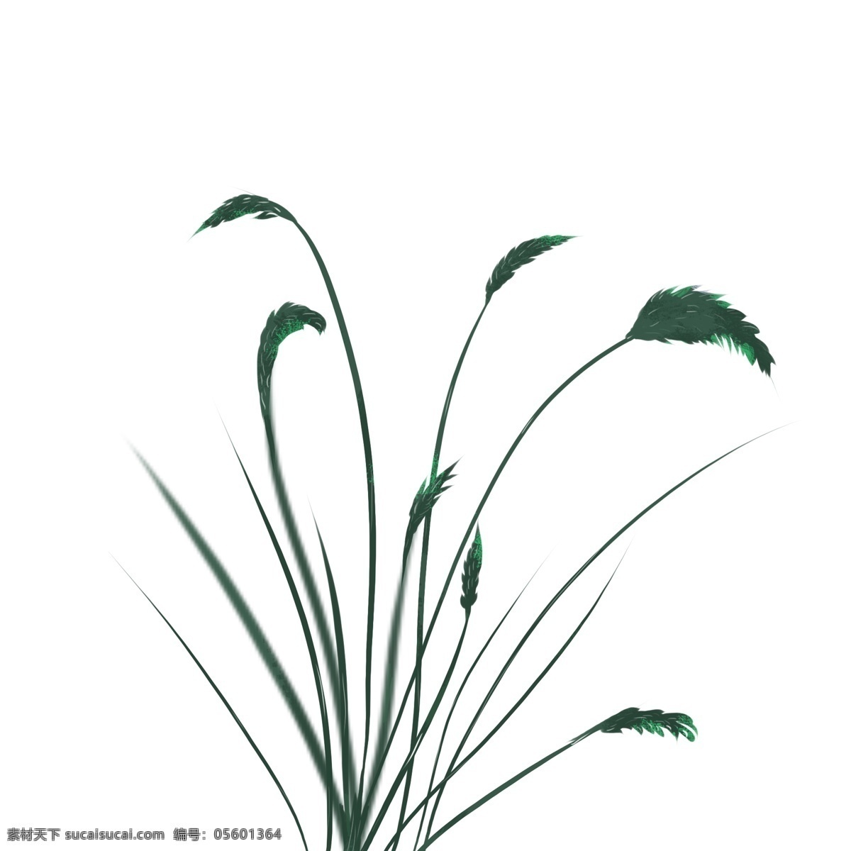 墨绿色 简单 狗尾草 商用 植物 单色 元素 草 灰色调
