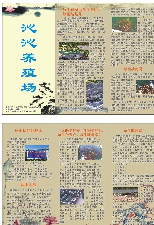 放生 三折页 关于放生 养殖场 锦鲤 卖东西 宣传栏 矢量