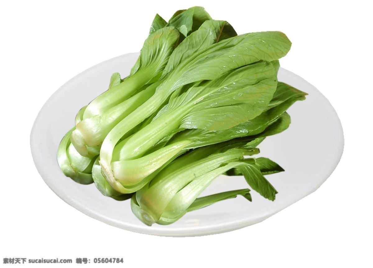 小白菜 蔬菜 白菜 食品 青菜 绿色 健康 新鲜蔬菜 蔬菜素材 蔬果生鲜 生活百科 餐饮美食 超市生鲜类