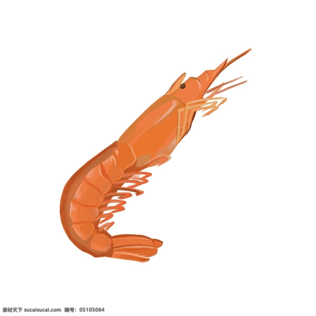 手绘 卡通 橘黄色 虾 插画 手绘虾 卡通虾 橘黄色的虾 美味的虾插画 海洋食物 做熟的虾 海鲜 动物 食物