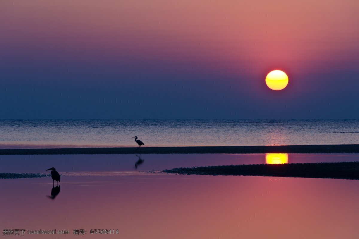海边夕阳 海边 夕阳 飞鸟 晚霞 海水 摄影专辑 自然景观 自然风景