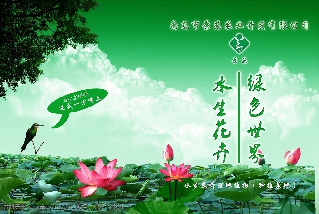 水生花卉 水生各种植物 画册花卉 荷花宣传单 dm单 绿色植物 矢量