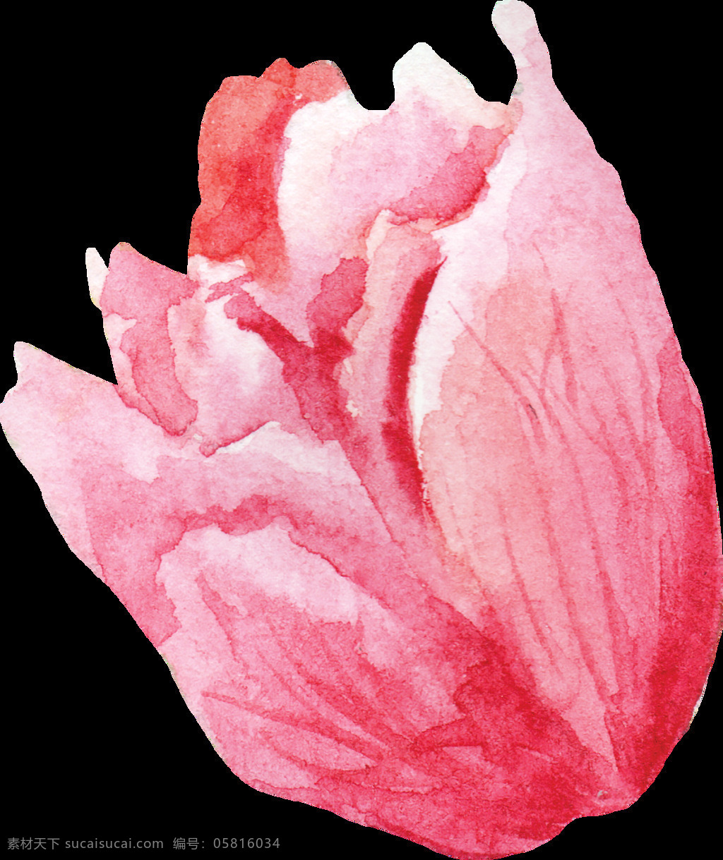 水彩 精美 玫瑰 免 扣 合集 绿色 花朵 花卉 插画 橘色 粉色 紫色 花苞 花瓣 绿叶 叶子 植物 卡通 透明素材 装饰图案 淘宝 手账素材