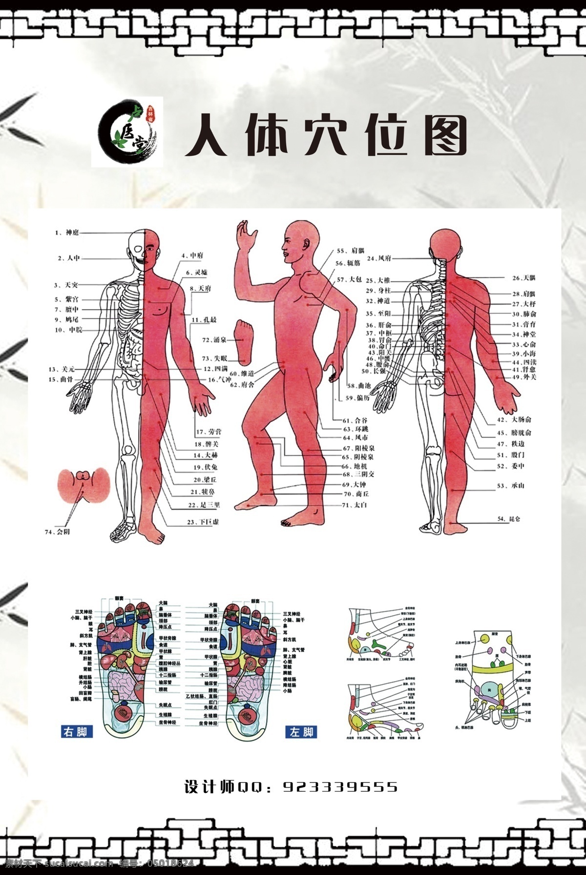 西医 理疗 构造 人体 图 人体穴位图 人体器官图 水墨画 边框 穴位 西医彩页 中医宣传单