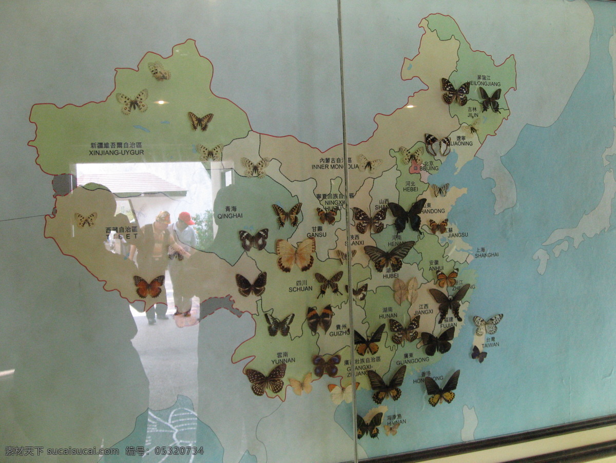 中国 蝴蝶 分布图 昆虫 生物世界 蝴蝶谷