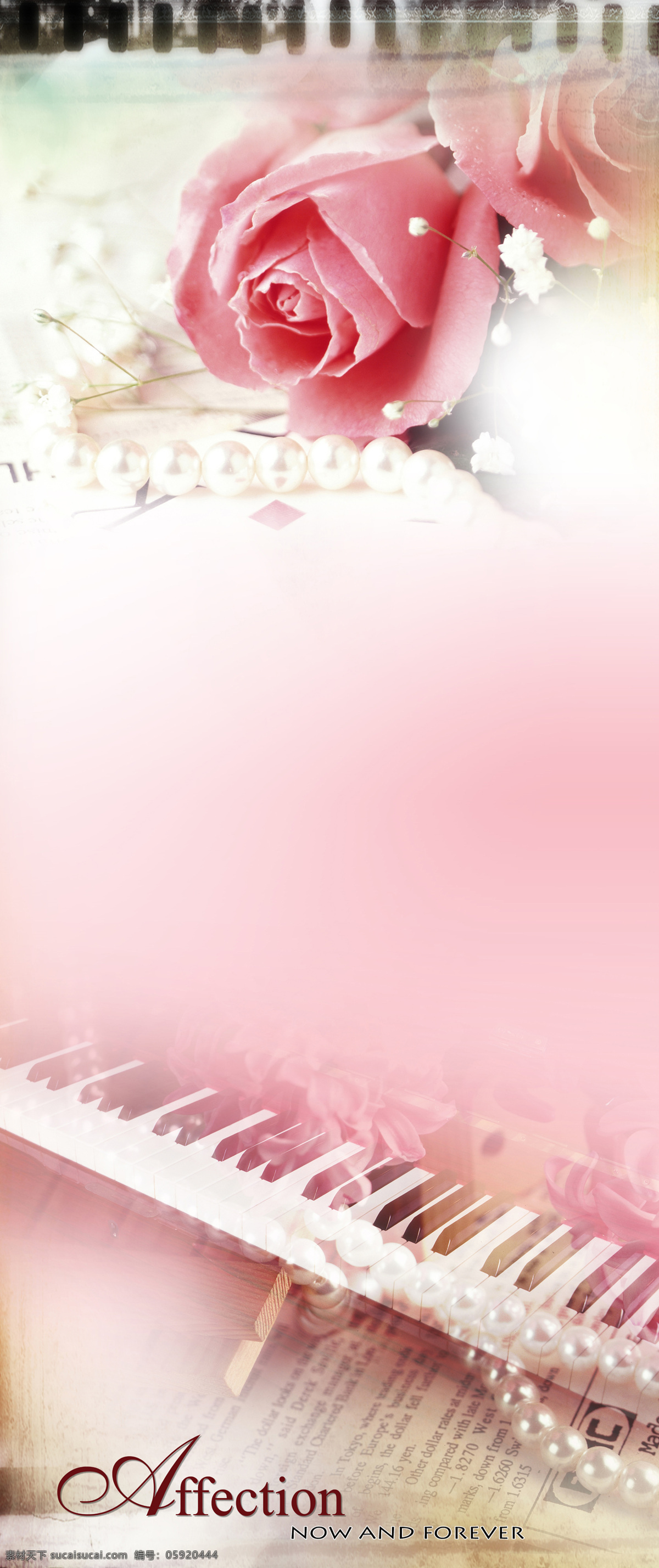 背景 背景底纹 底纹 底纹边框 粉红 钢琴 婚纱 玫瑰 婚纱摄影 设计素材 模板下载 psd源文件