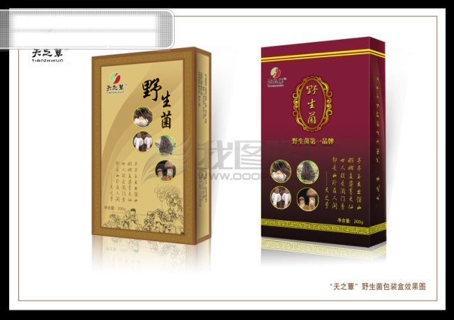 包装背景 包装效果图 背景图片 电脑背景图片 非 主流 设计图库 药品 野生菌 包装背景图片 卡通 动漫 可爱