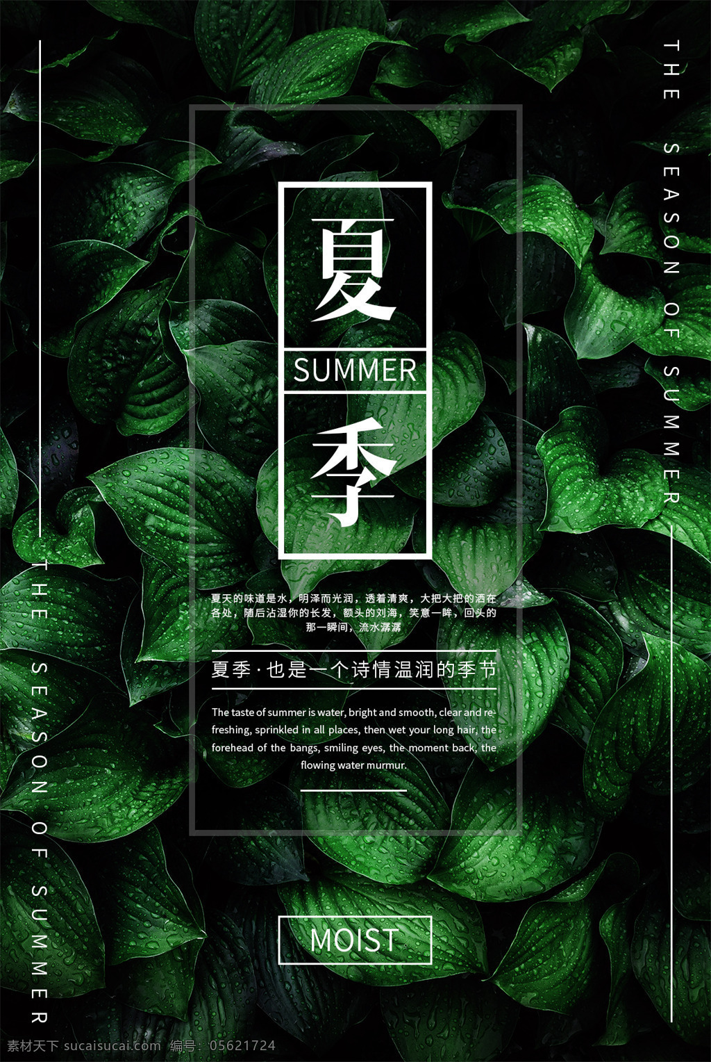 2018 墨绿 幽雅 湿润 夏季 宣传海报 绿色 唯美 平面素材 潮湿 雨季