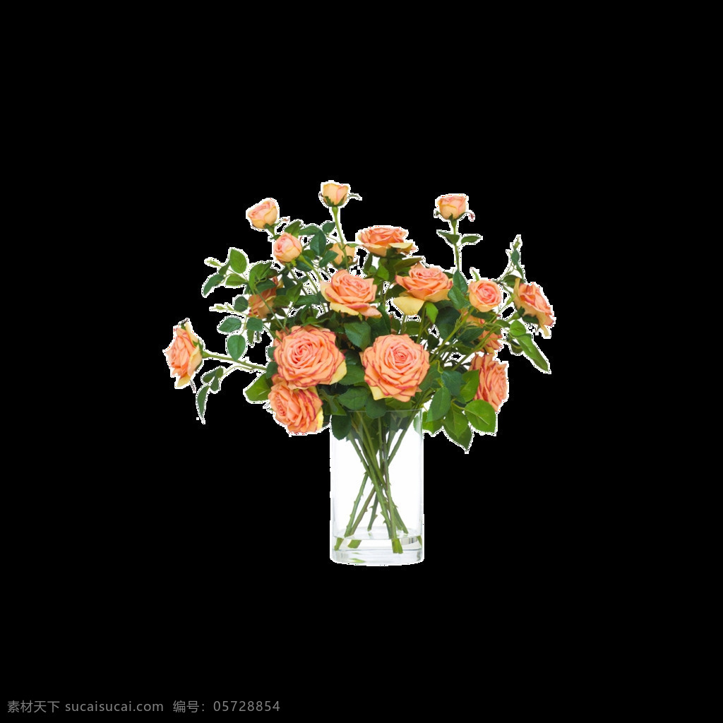 清新 雅致 香槟 色 玫瑰花 装饰 元素 花瓣 花材素材 花朵 花束 捧花 香槟色玫瑰花