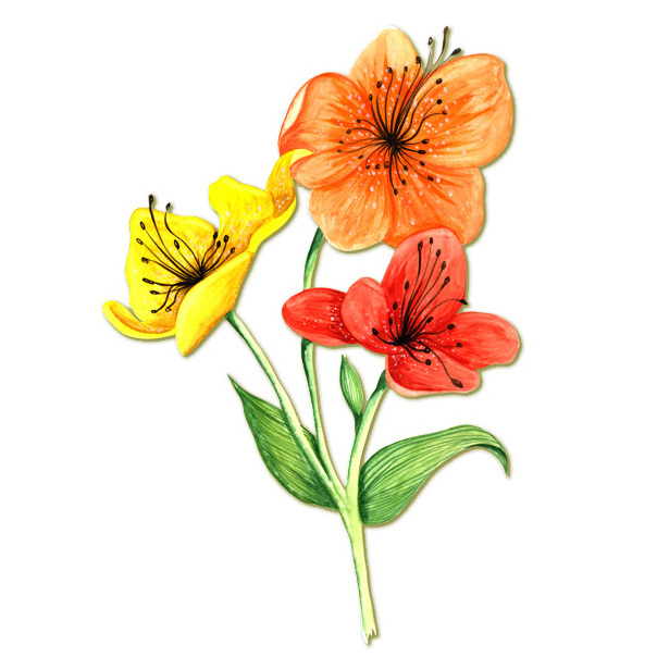 位图免费下载 服装图案 蝴蝶兰 花朵 位图 写意花卉 植物 面料图库 服装设计 图案花型