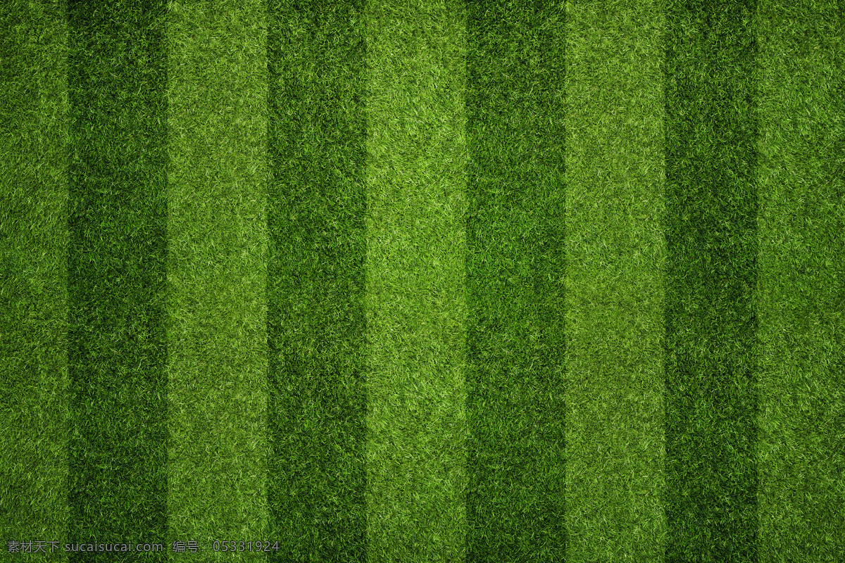 足球场 纹理 背景 高清 条 格 条格 足球 绿叶 草地 运动 植物 足球场体育 运动体育 运动生活