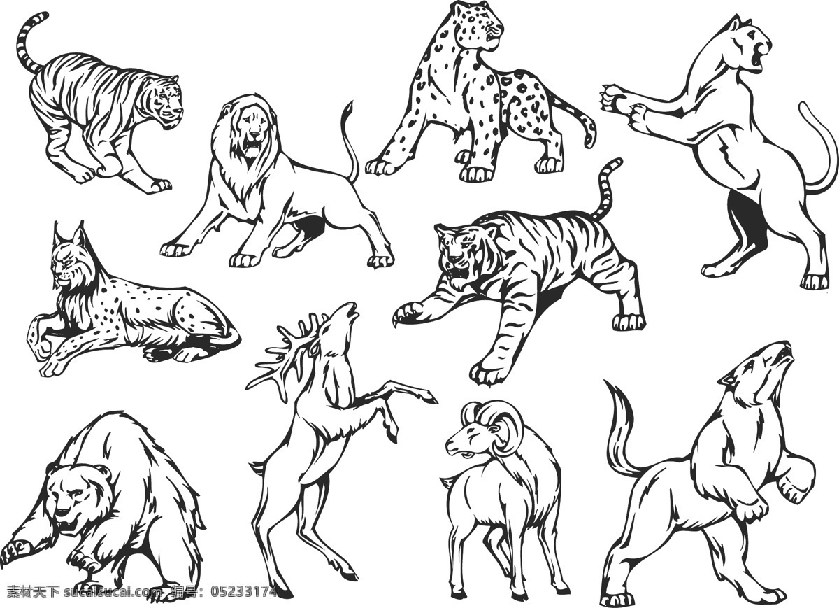 各种 动物 白描 图 线稿 白描图 野生动物园 熊 豹子 狮子 麋鹿 陆地动物 生物世界 矢量素材 白色