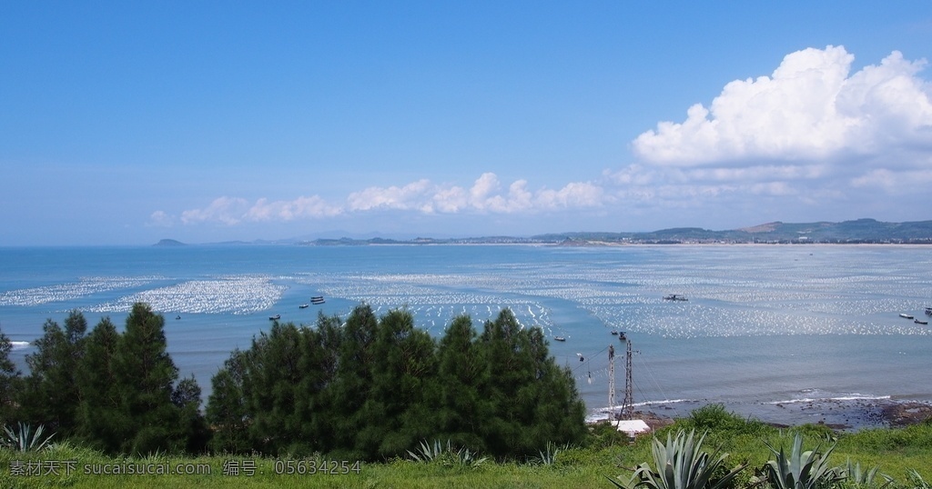 漳州镇海角 漳州 镇海角 海编 滩涂 旅游 旅游摄影 国内旅游