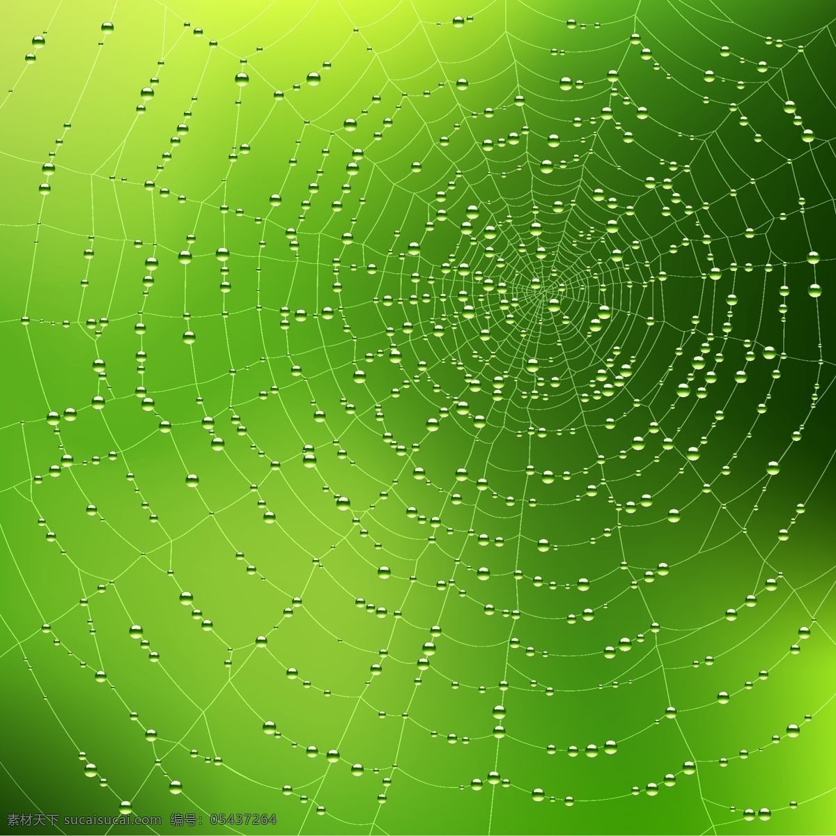 蜘蛛网 背景 矢量 矢量素材 线条 表 矢量图 其他矢量图