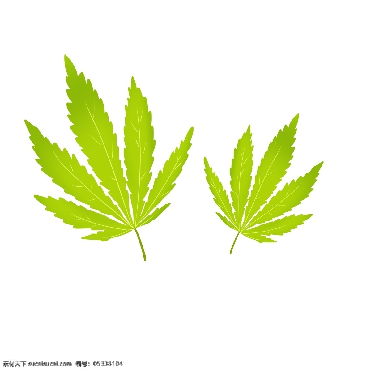 绿叶 手绘 透明 绿色 树叶 叶子 装饰 绿化 环保 春天 清新 插画 卡通 悬浮 漂浮 矢量