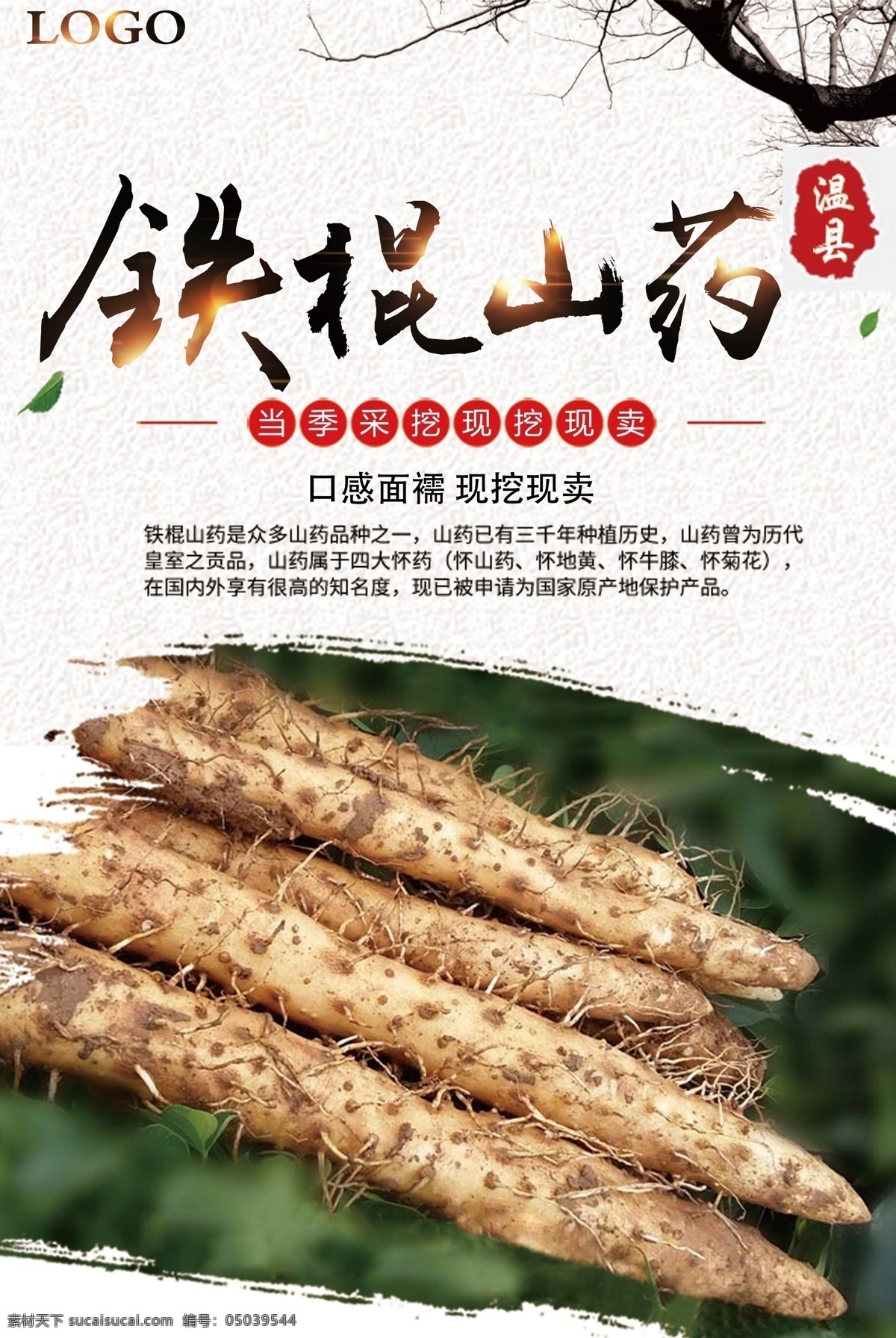 精美 大气 铁棍 山药 海设计