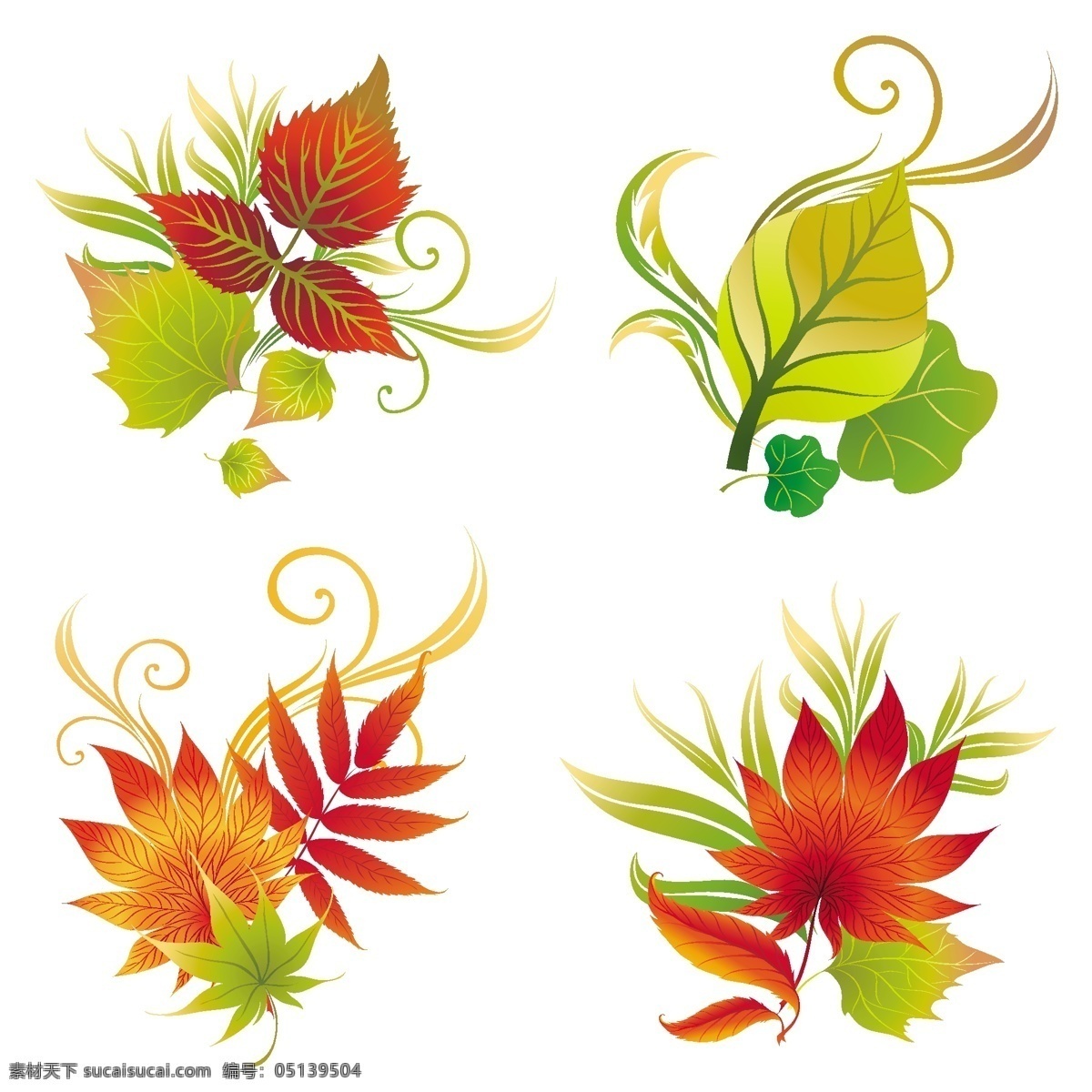 浪漫 枫叶 矢量 设计图 花边 花纹 叶片 植物 矢量图 花纹花边