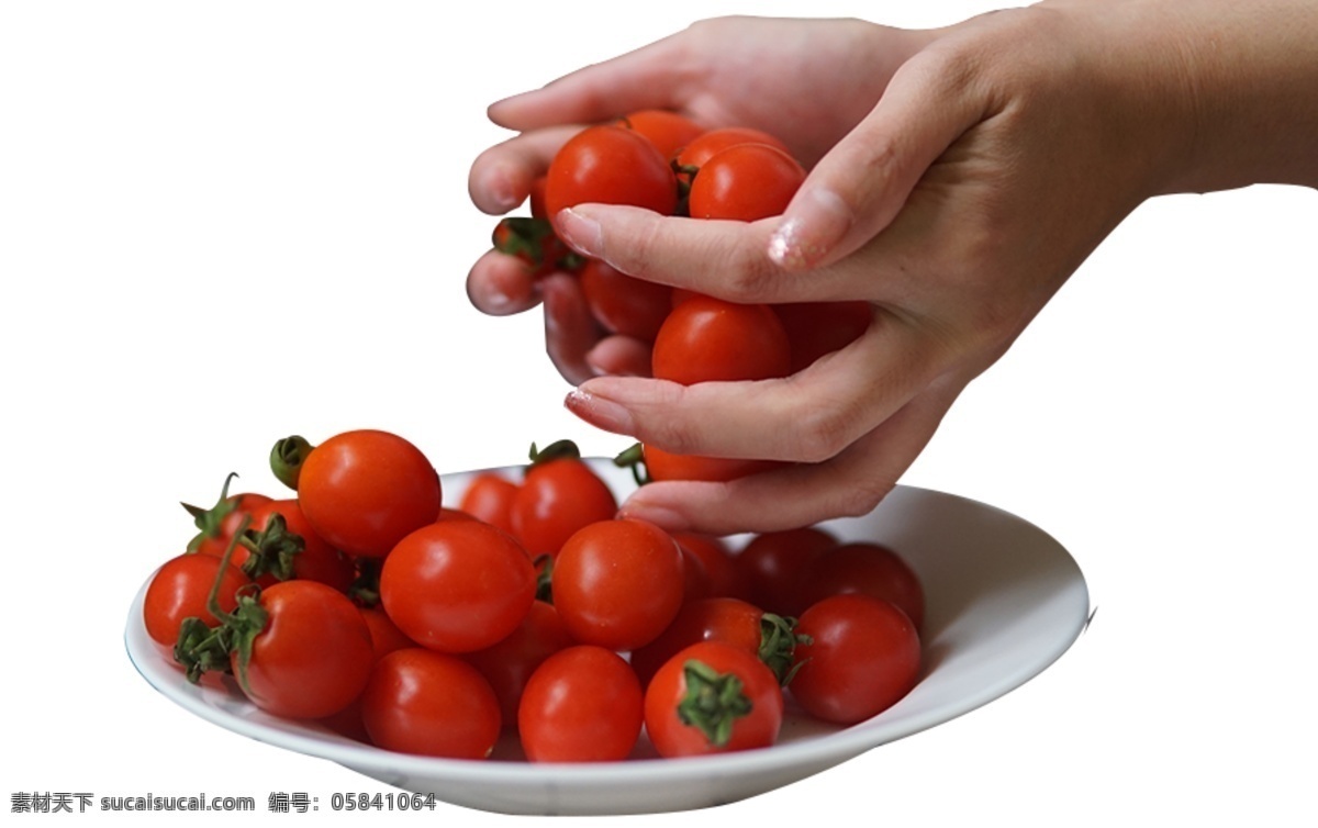 装满 盘 小 番茄 手 小西红柿 水果 食物