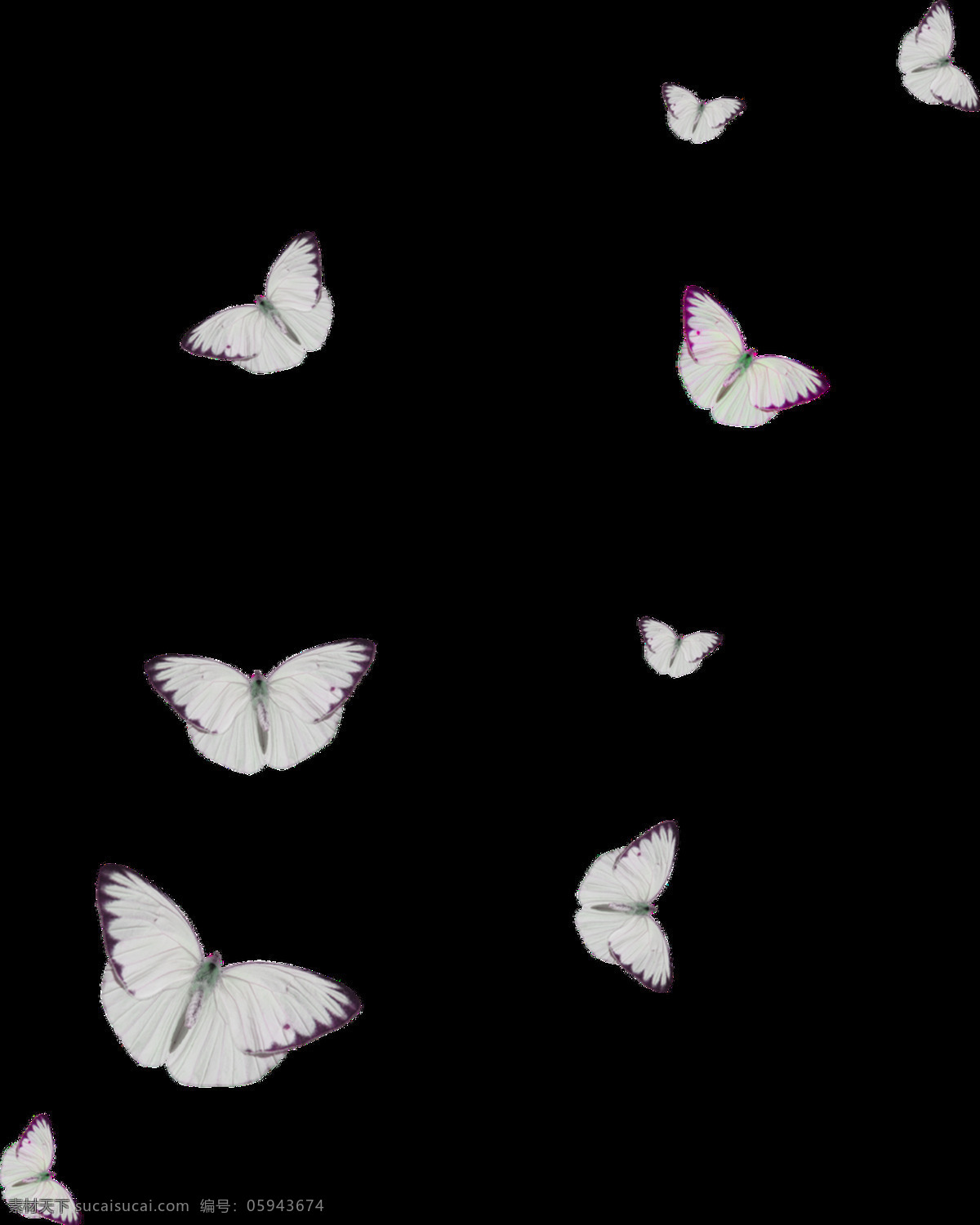白斑 蝴蝶 卡通 透明 白色 黑边 透明素材 免扣素材 装饰图案