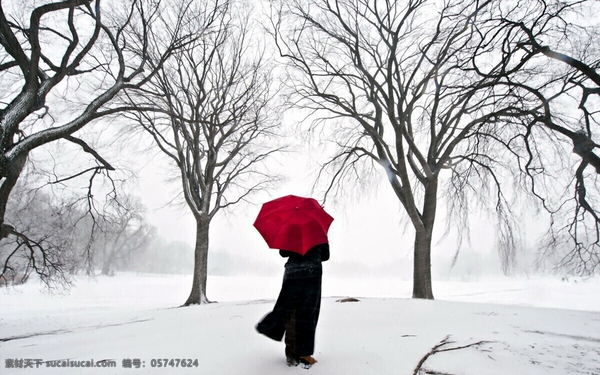 白雪 中 撑伞 前行 人 雪地 红伞 风景 生活 旅游餐饮