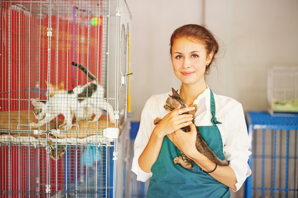 抱 小猫 女人 猫咪 宠物 猫科动物 野生动物 动物世界 陆地动物 动物摄影 猫咪图片 生物世界