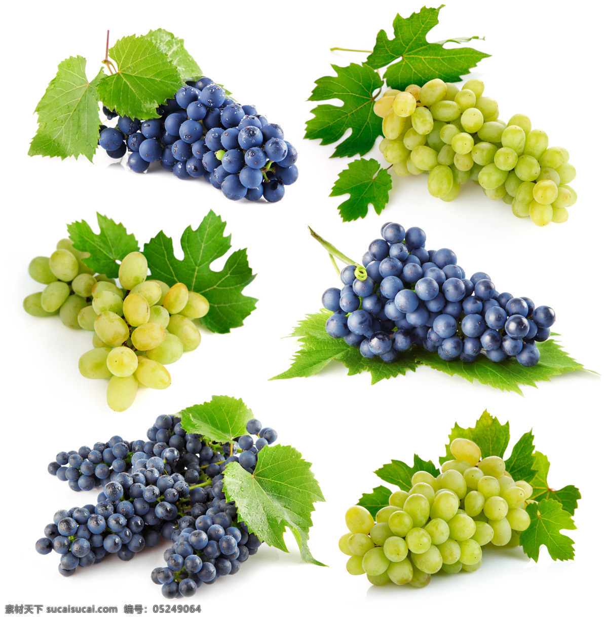 葡萄 素材图片 葡萄素材 葡萄摄影 青葡萄 叶子 绿叶 葡萄叶 摄影图库 蔬菜图片 餐饮美食