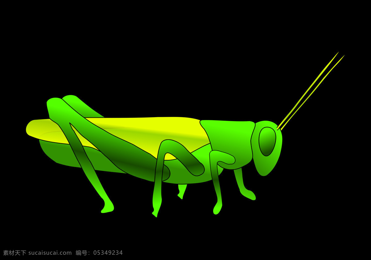 手绘 鲜艳 绿色 蝗虫 免 抠 透明 漂亮 鲜艳绿色蝗虫 手绘大蝗虫 手绘蝗虫素材 蝗虫元素 大蝗虫图片 蚂蚱图 蚂蚱图片 蝗虫海报素材