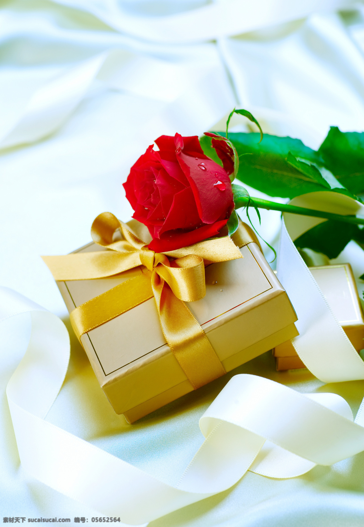 高清 情人节 玫瑰花 礼品盒 丝带 花朵 鲜花 礼物