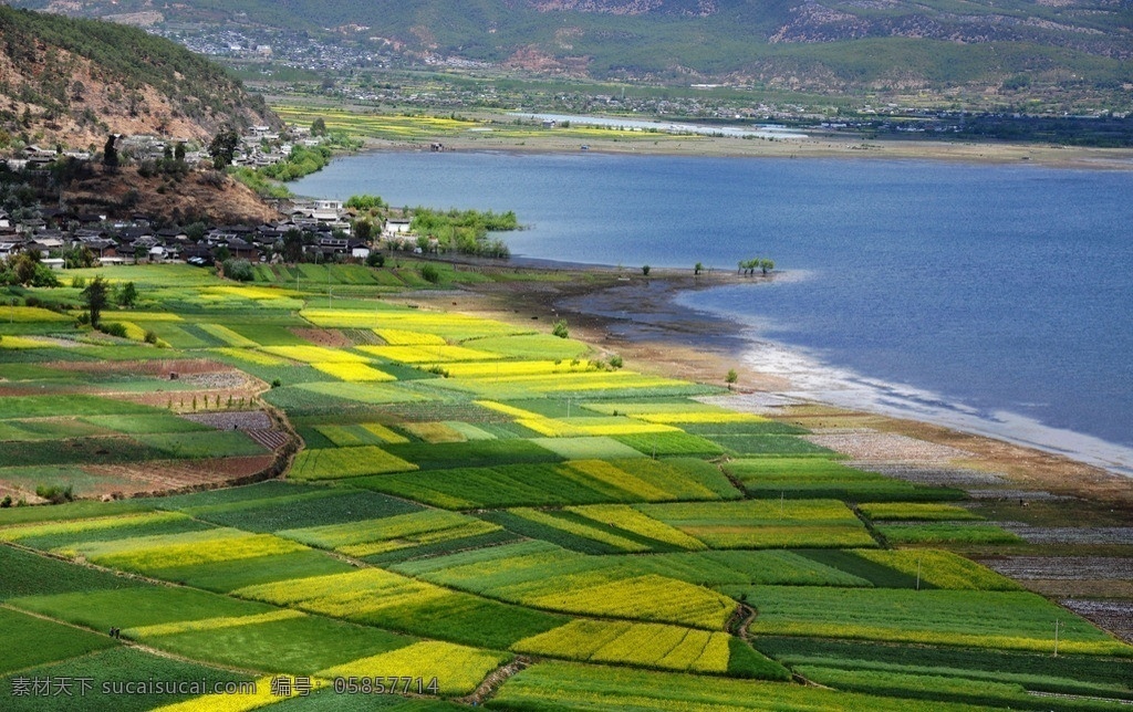 云南 拉 市 海 高处 眺望 油菜 花田 高清晰 高质量 风景 拉市海 油菜花田 油菜花 湖边 蓝天 白云 国内旅游 旅游摄影