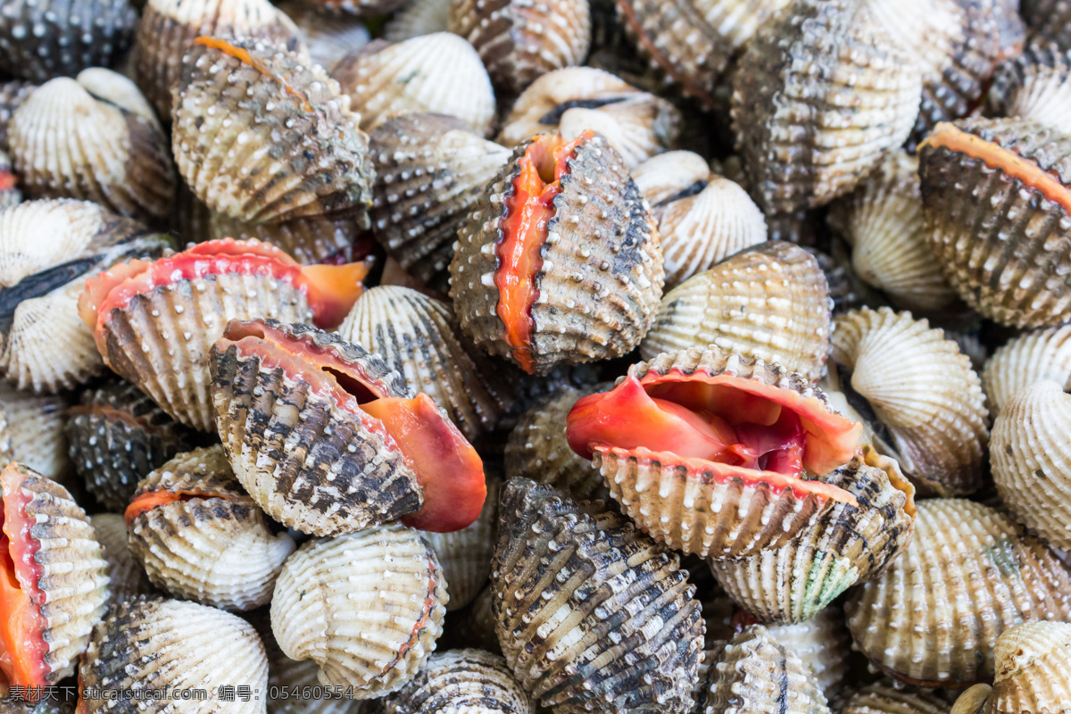 堆 贝壳 海鲜 海洋生物 诱人美食 食物原料 食材原料 餐饮美食 食物摄影