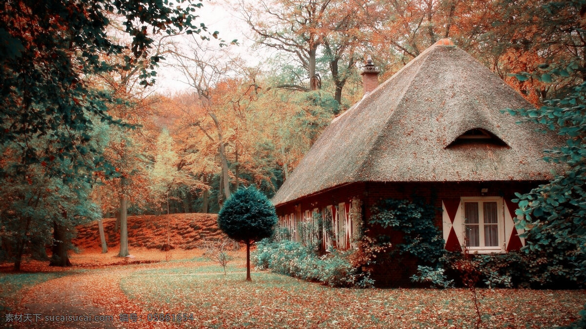 树林红屋 红房子 爬山虎 欧式 落叶 深秋 建筑摄影 建筑园林