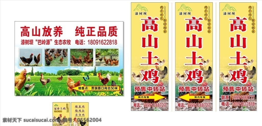 高山土鸡 高山 土鸡 散养 家禽 美味 野味 山珍 腊味 单位 展板模板