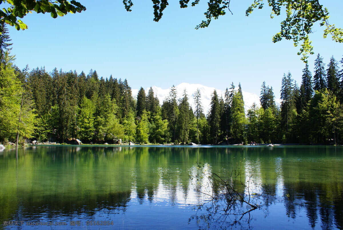 优美 湖面 景色 湖 树 夏季 宁静 反射 绿色 木材 森林 天空背景 池塘 阳光 灿烂 春天的时间 湖水倒影 风景优美 摄影素材 自然景观 山水风景
