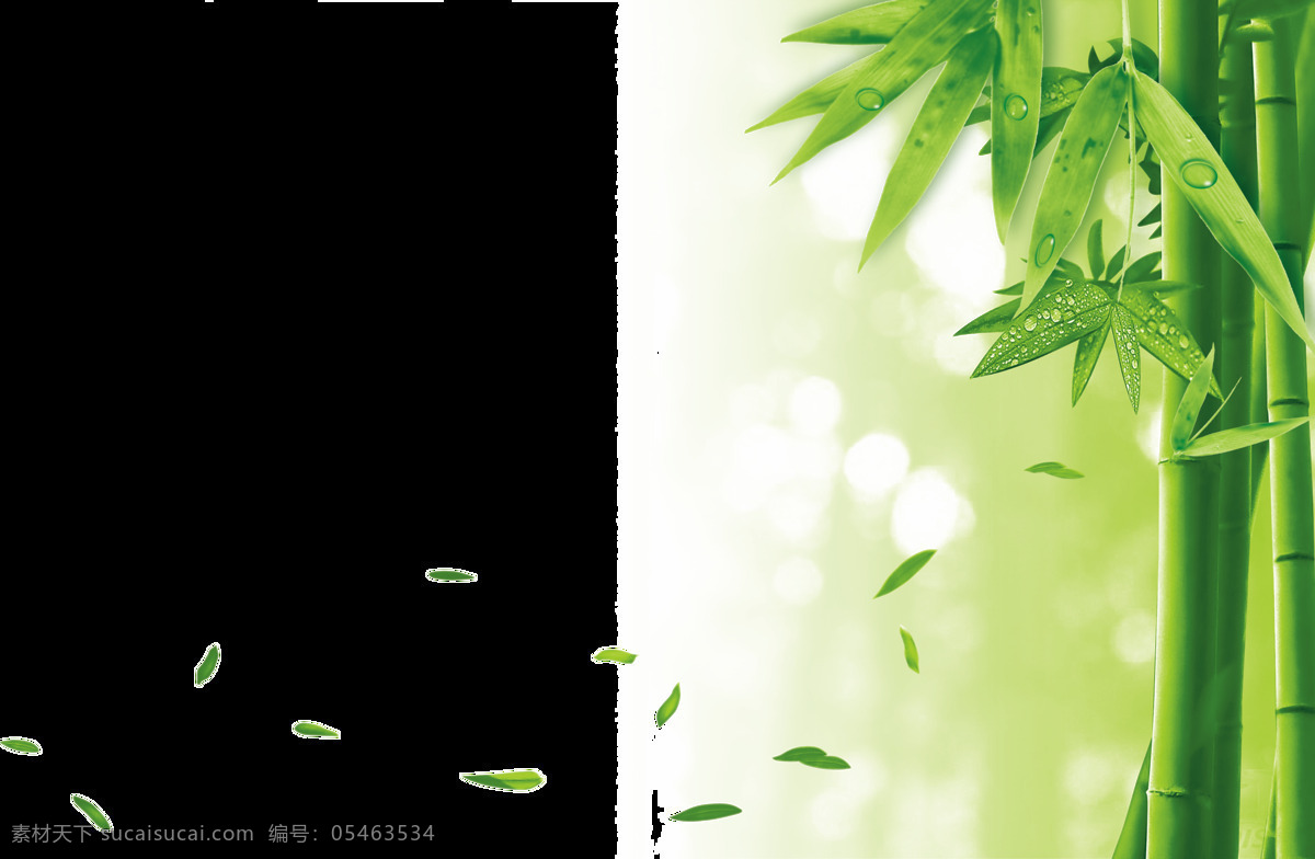 创意 竹子 手绘 画 透明 装饰 免 扣 逼真 绿色 落叶 意境 竹叶