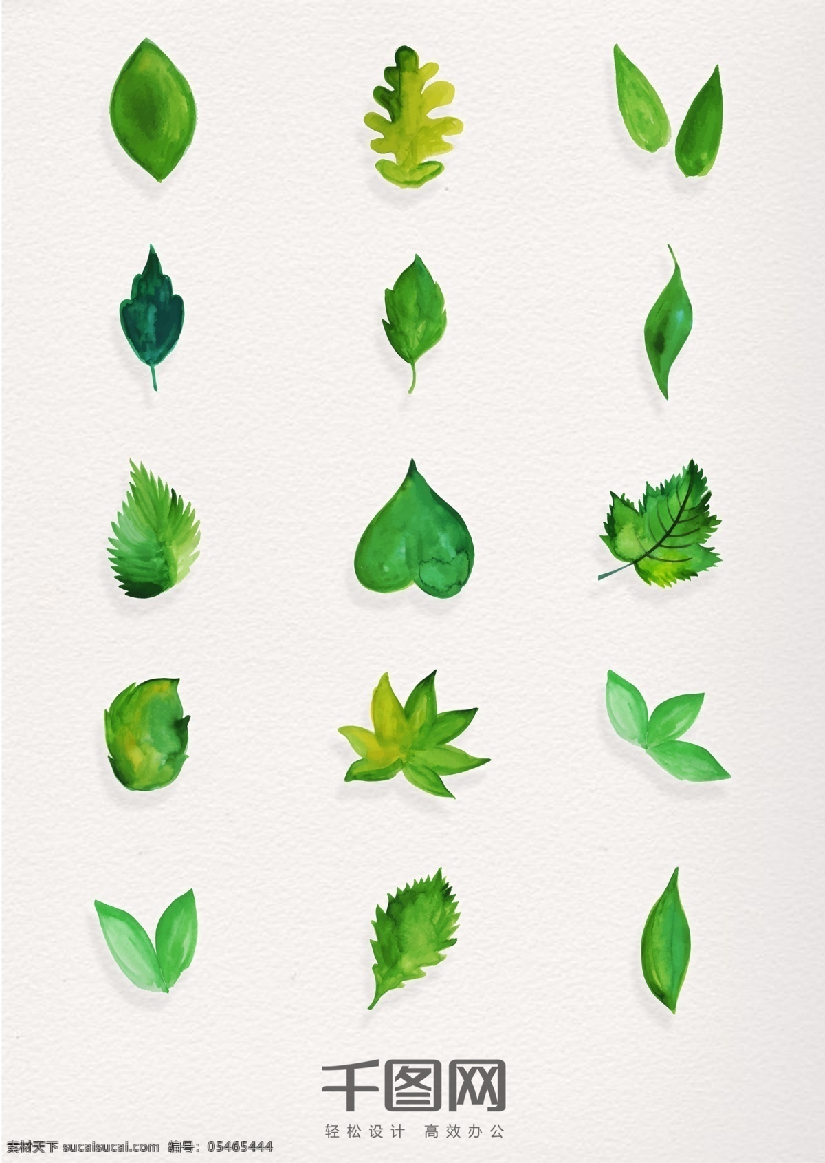 手绘 水彩 风格 绿叶 图标 绿色 树叶 叶子 绿植 植物 枫叶 针叶 绿叶图标 绿叶元素