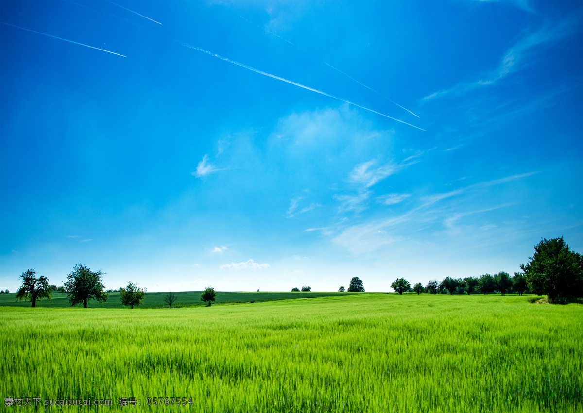 自然景观 天空 蓝天 草地 树林 田园风景 自然素材 森林素材 森林 植物 自然 山川河流 大自然风光 风景 景色 田园